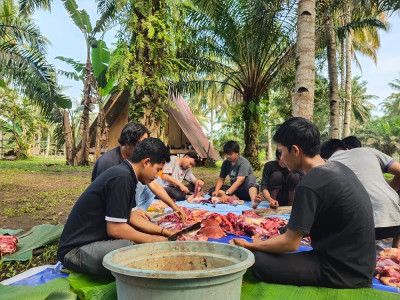 Pemotongan Hewan Qurban