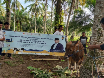 Pemotongan Hewan Qurban