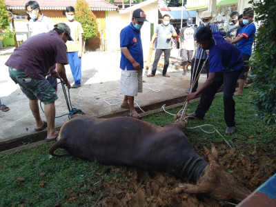 ACARA KURBAN FATMA KENANGA