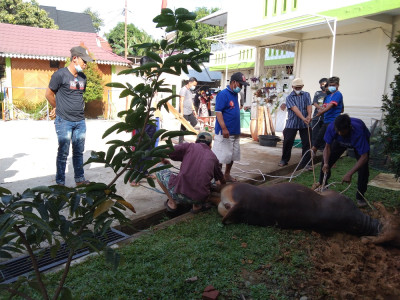 ACARA KURBAN FATMA KENANGA