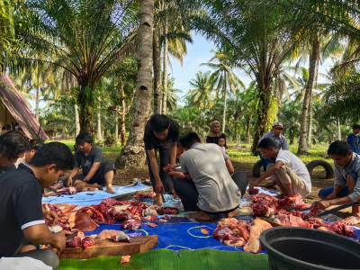 Pemotongan Hewan Qurban