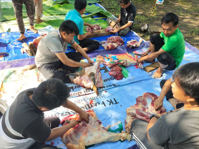 Pemotongan Hewan Qurban