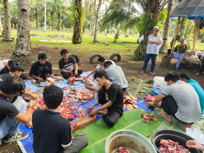 Pemotongan Hewan Qurban