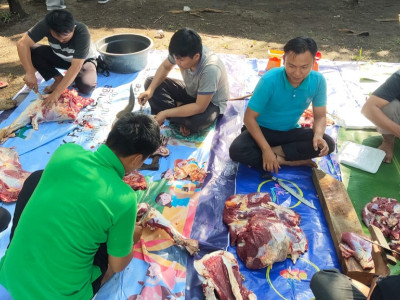 Pemotongan Hewan Qurban